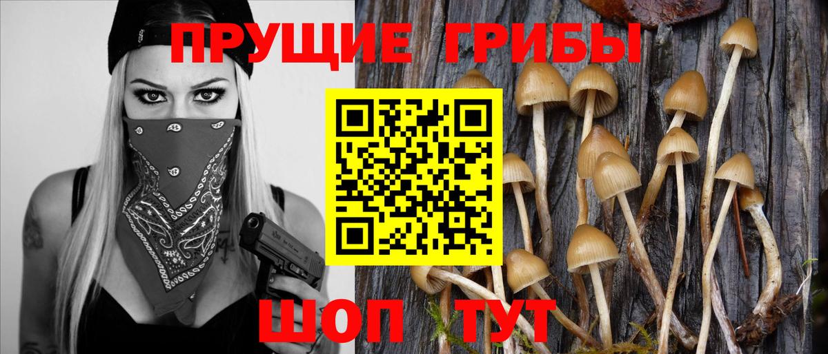 Меф МЯУ МЯУ  Вход с VPN  Курск  Cocaine  Мефедрон   LSD-25  ГАШ  Марихуана  Alpha-PVP СК кристаллы 