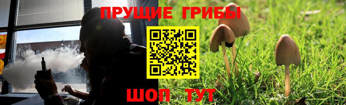 Курск  Галлюциногенные грибы мицелий  Псилоцибиновые грибы Psilocybe  как найти закладки  Вход с VPN 